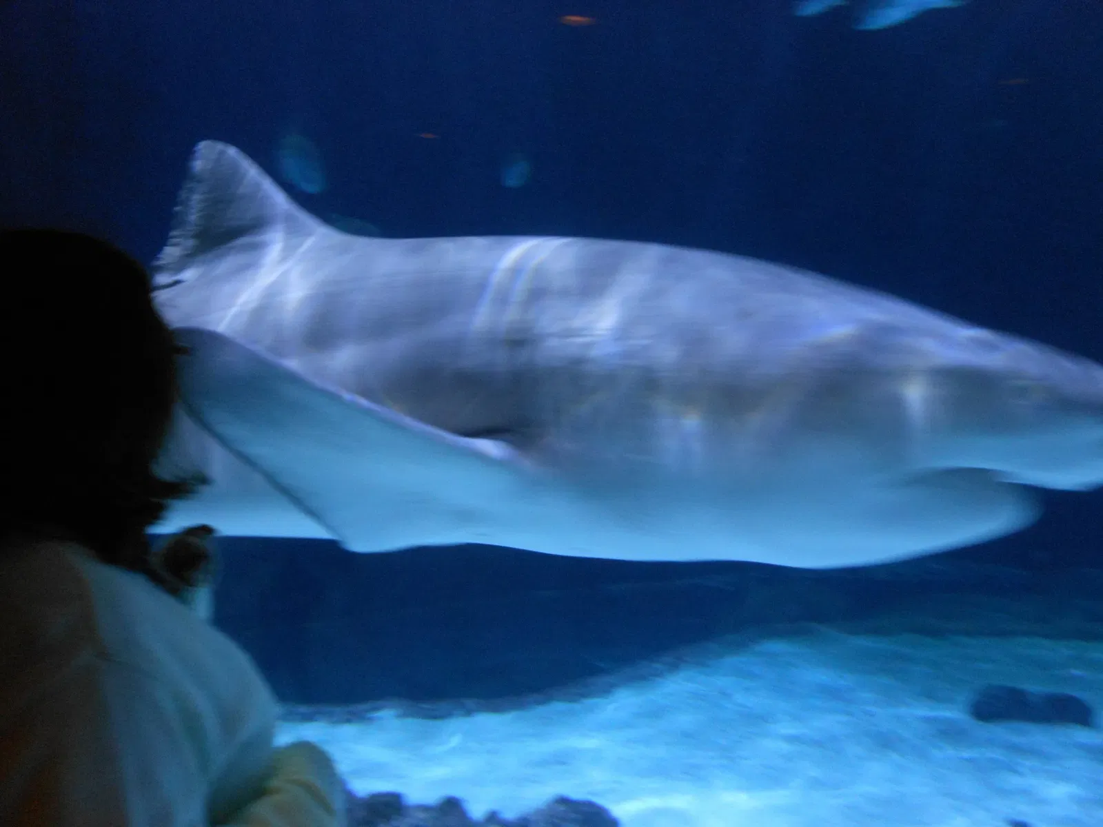 Point Defiance Zoo & Aquarium