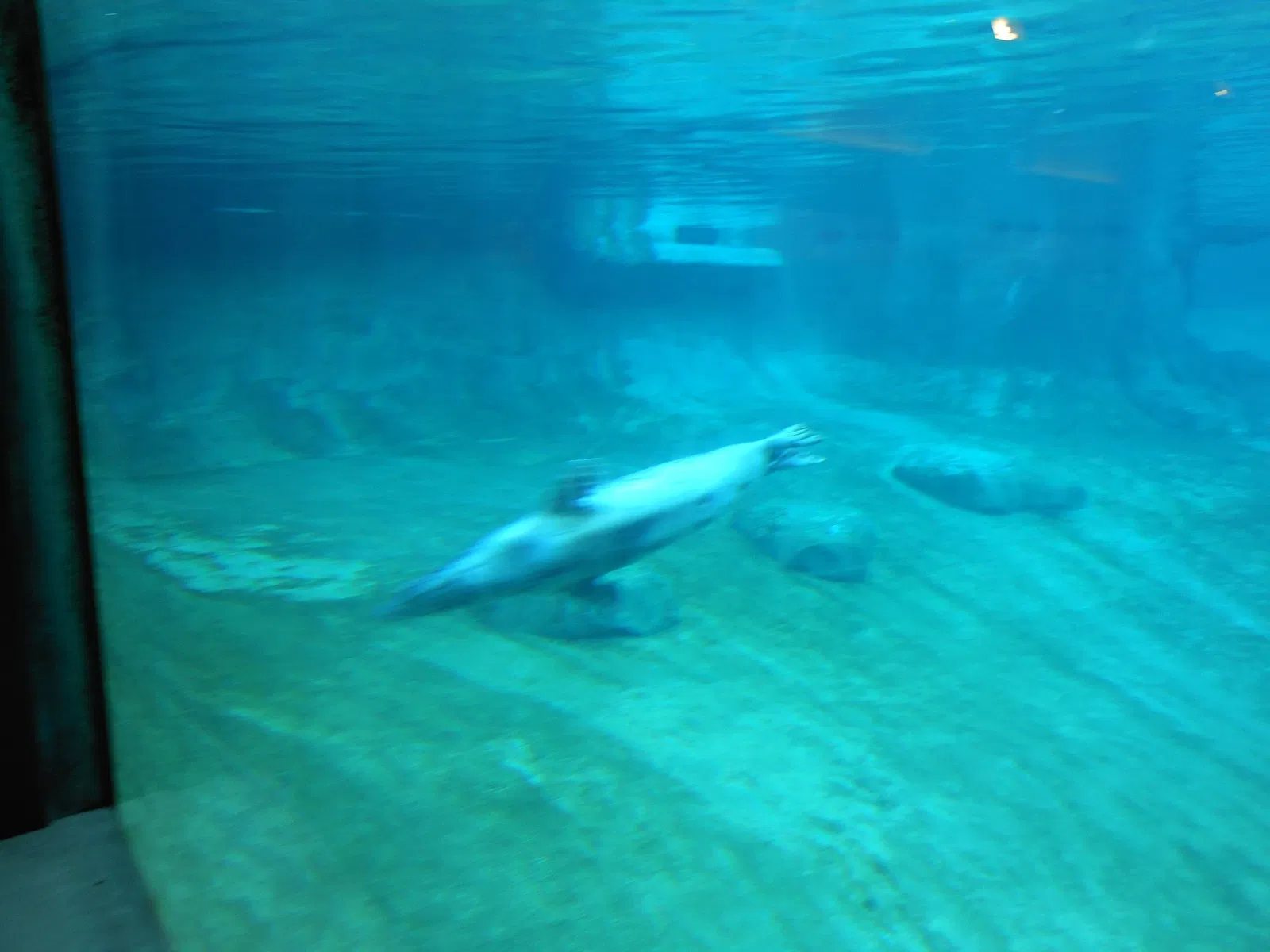 Point Defiance Zoo & Aquarium