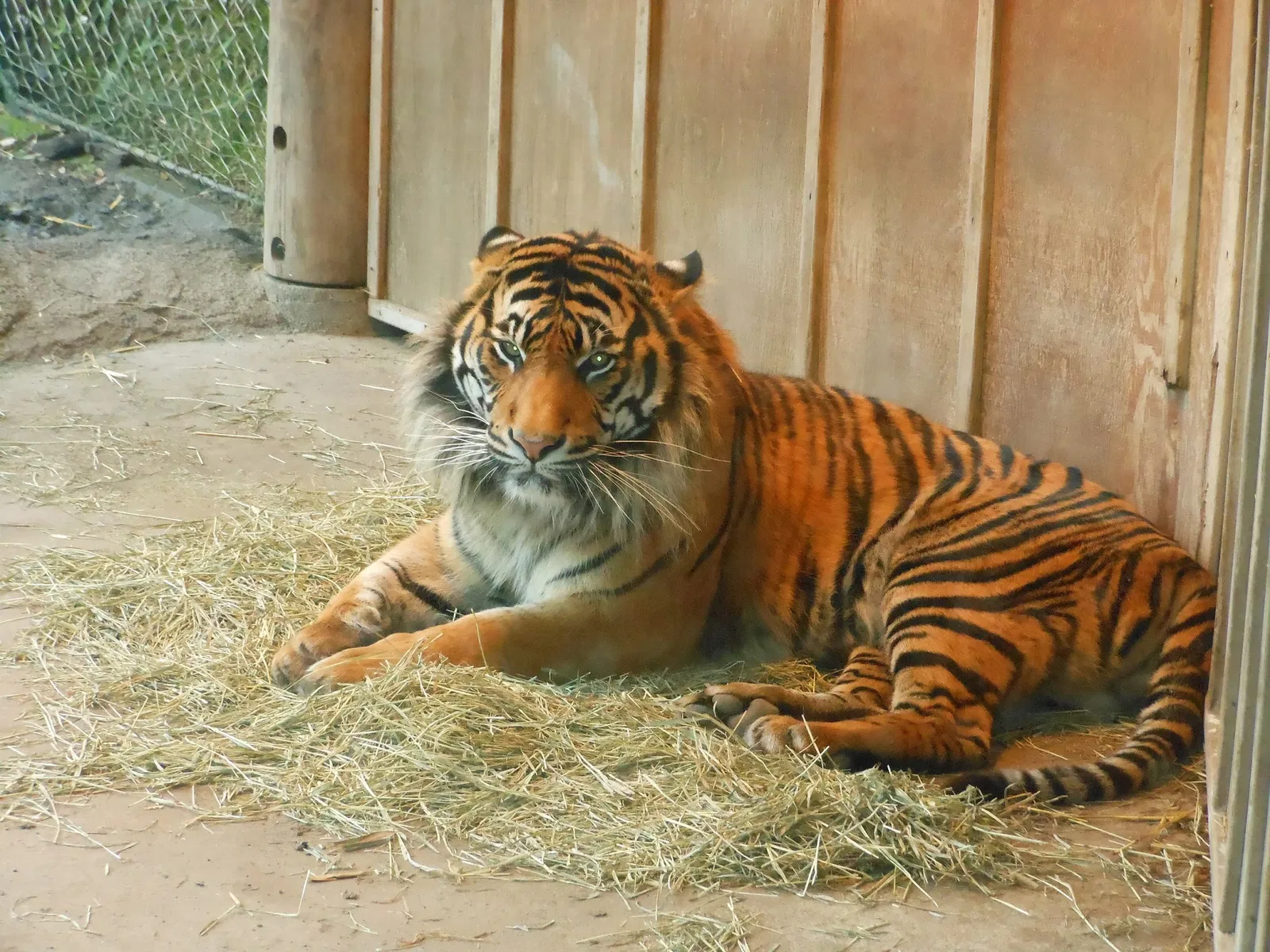 Point Defiance Zoo & Aquarium