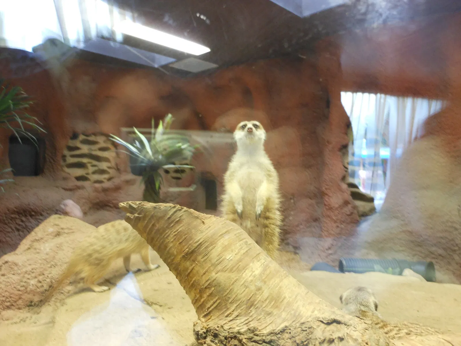 Point Defiance Zoo & Aquarium