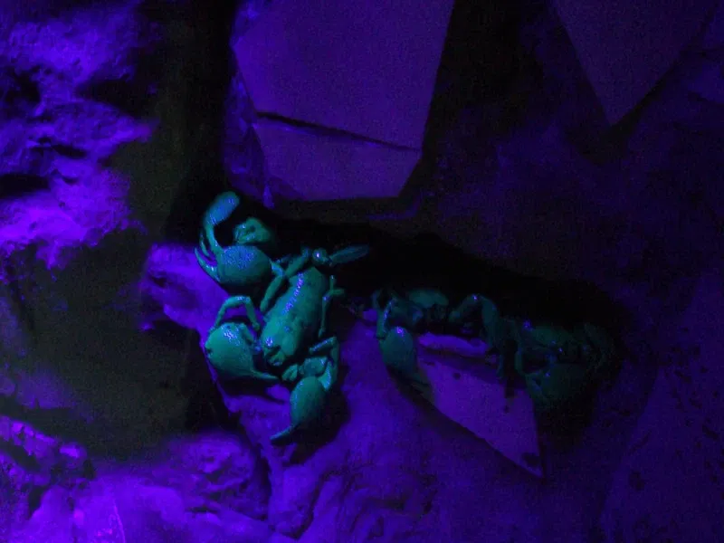 Zoo et Aquarium de Point Defiance