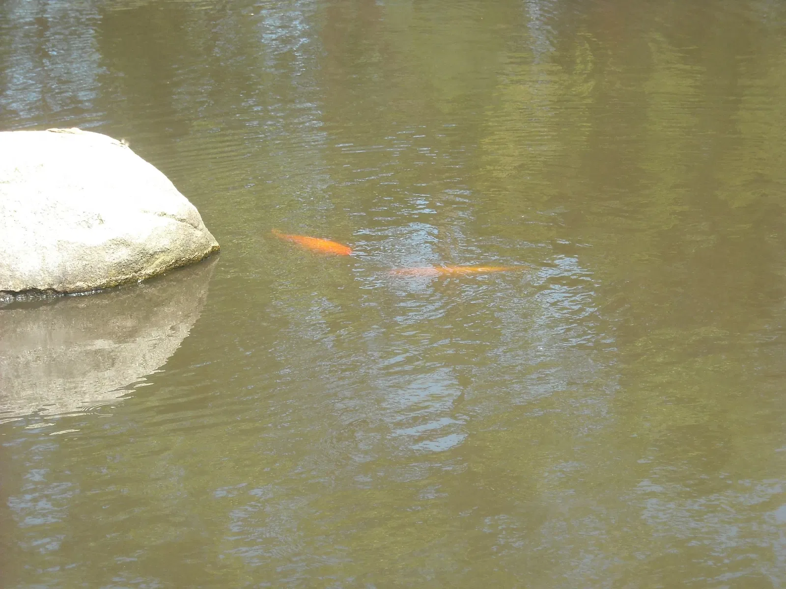 Point Defiance Zoo & Aquarium