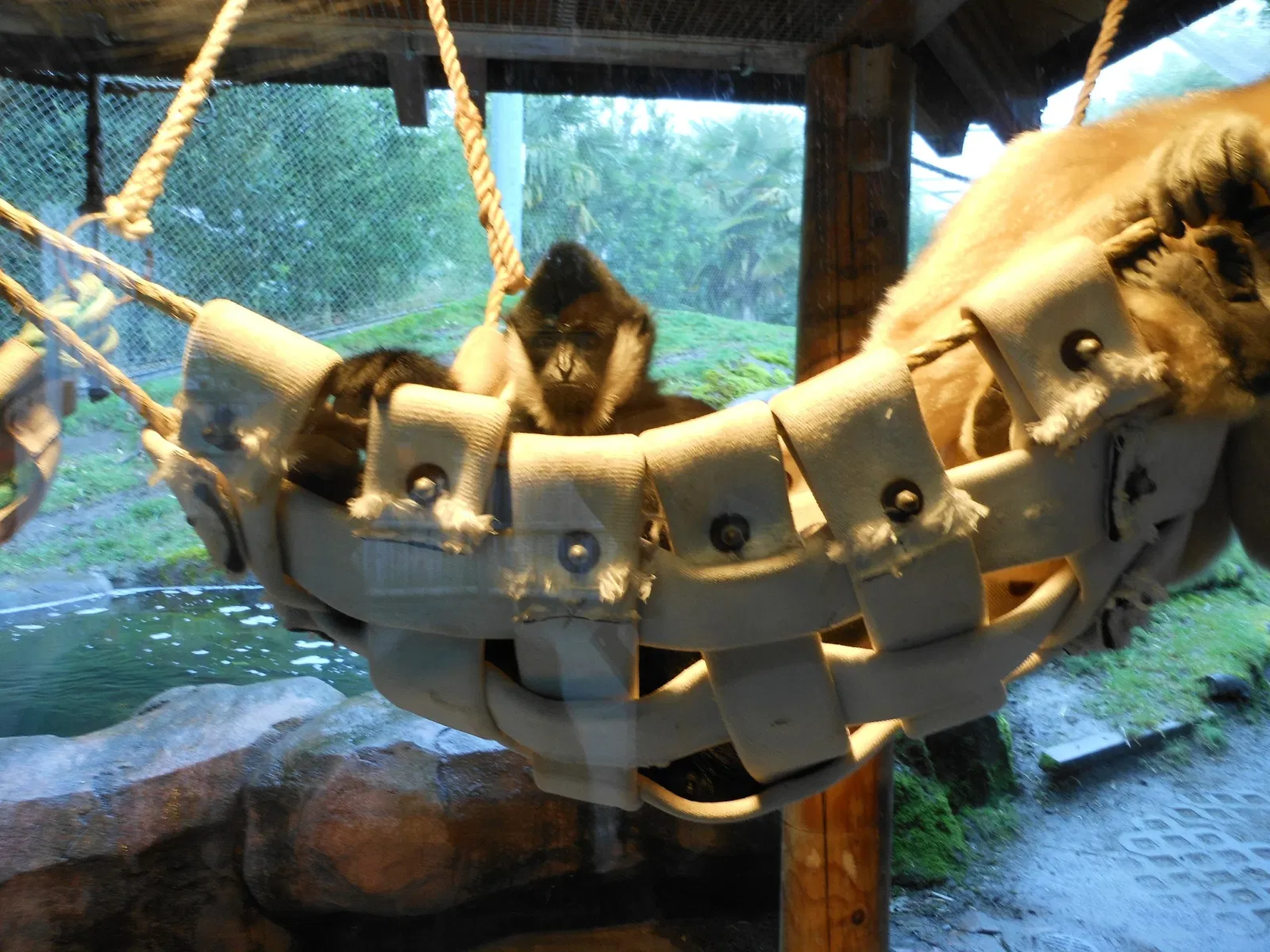 Point Defiance Zoo & Aquarium