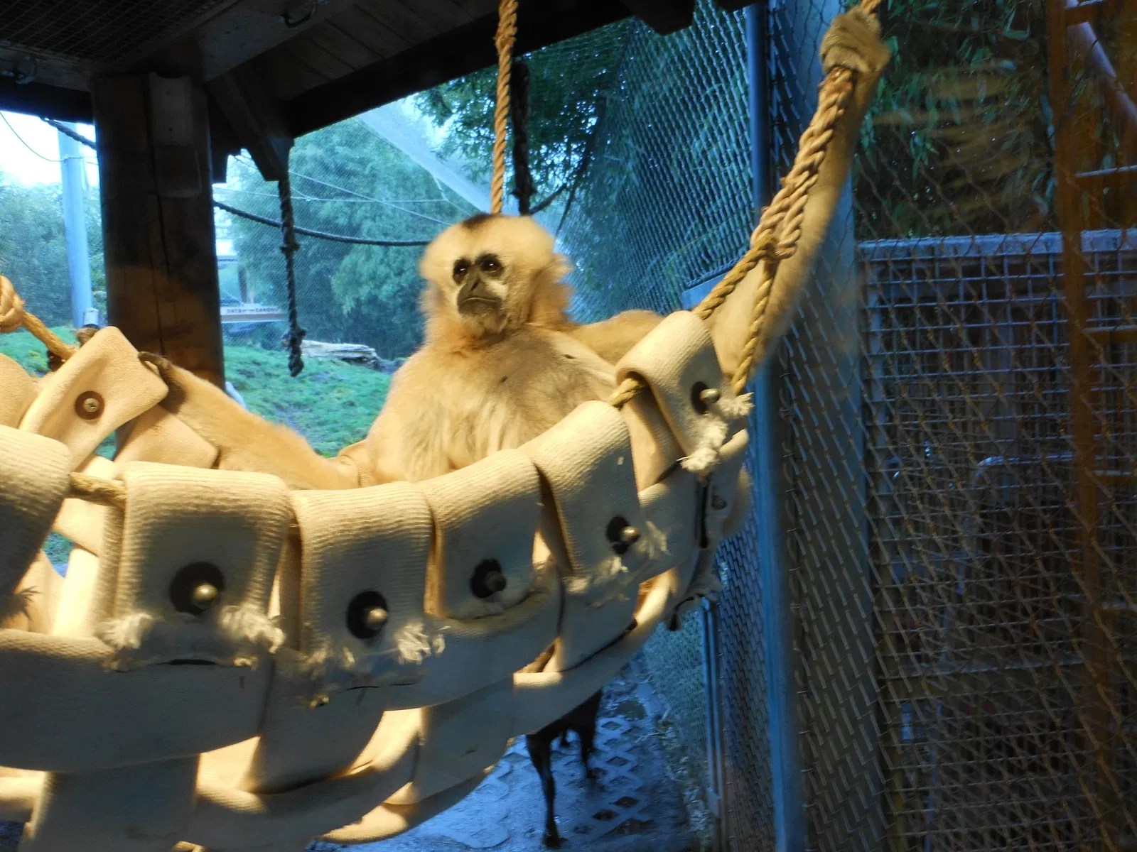 Point Defiance Zoo & Aquarium