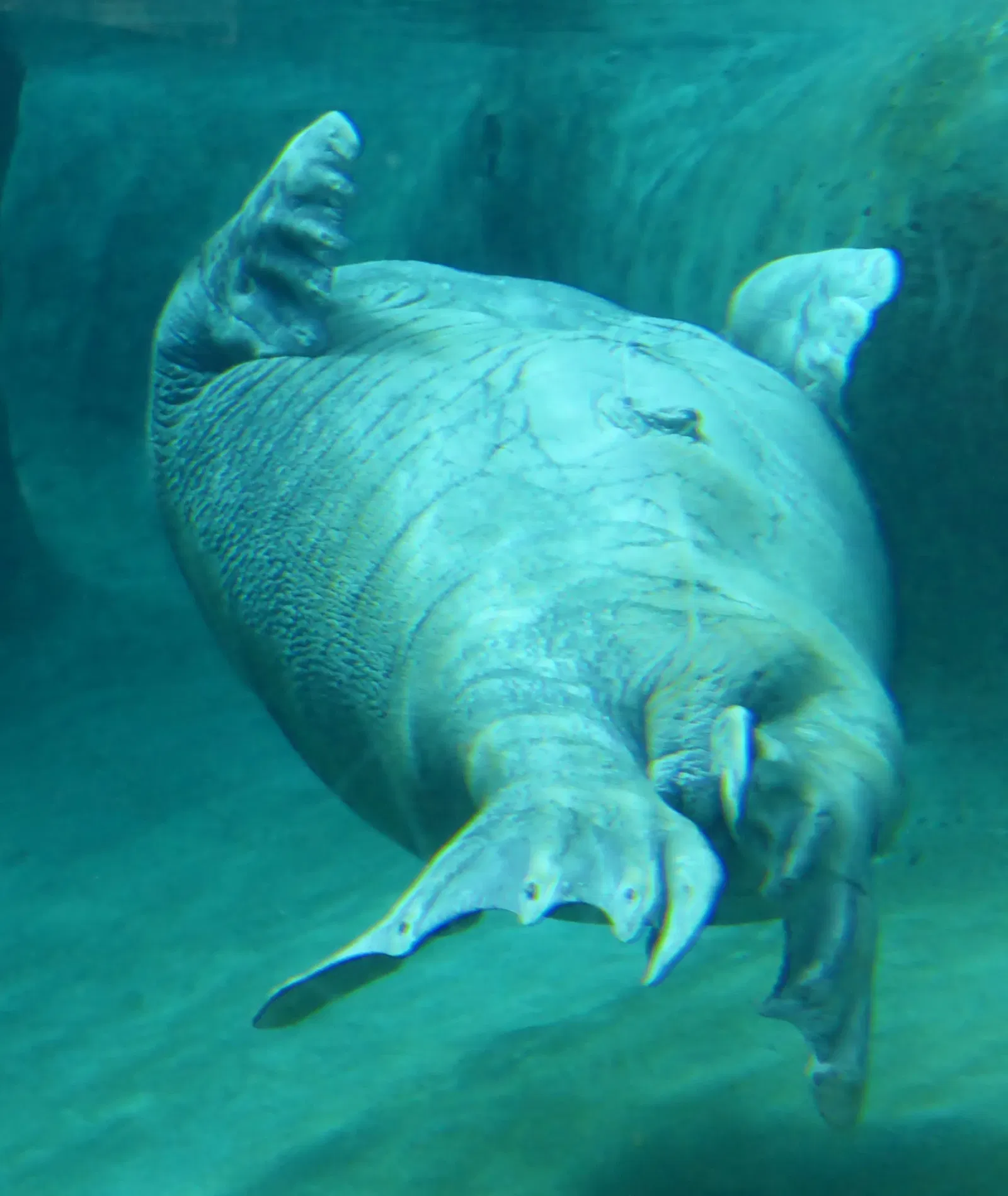 Point Defiance Zoo & Aquarium