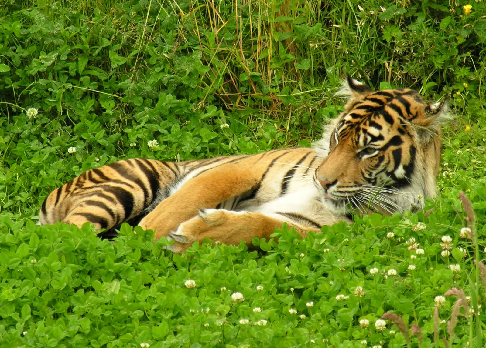 Zoo et Aquarium de Point Defiance
