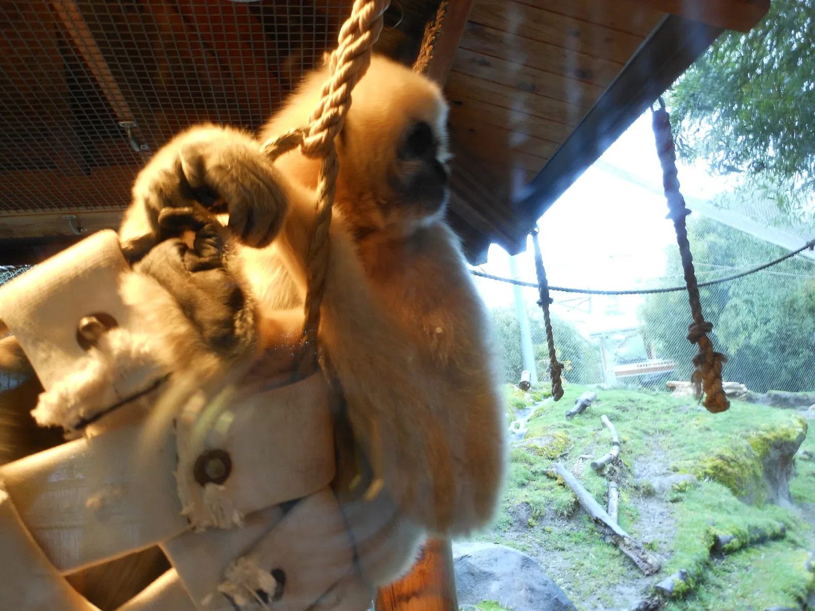 Zoo et Aquarium de Point Defiance