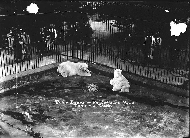 Zoo et Aquarium de Point Defiance