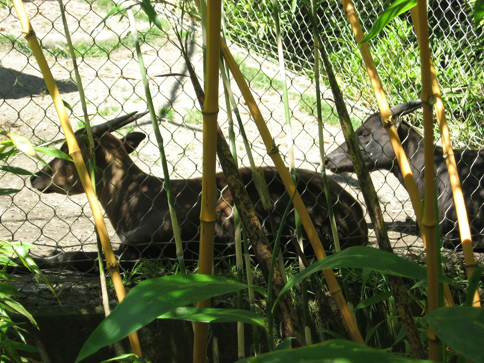 Zoo et Aquarium de Point Defiance