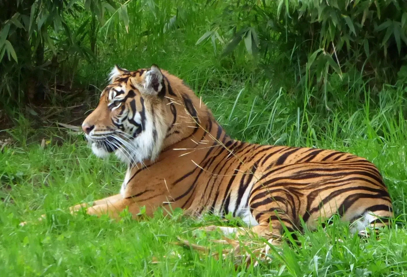 Zoo et Aquarium de Point Defiance