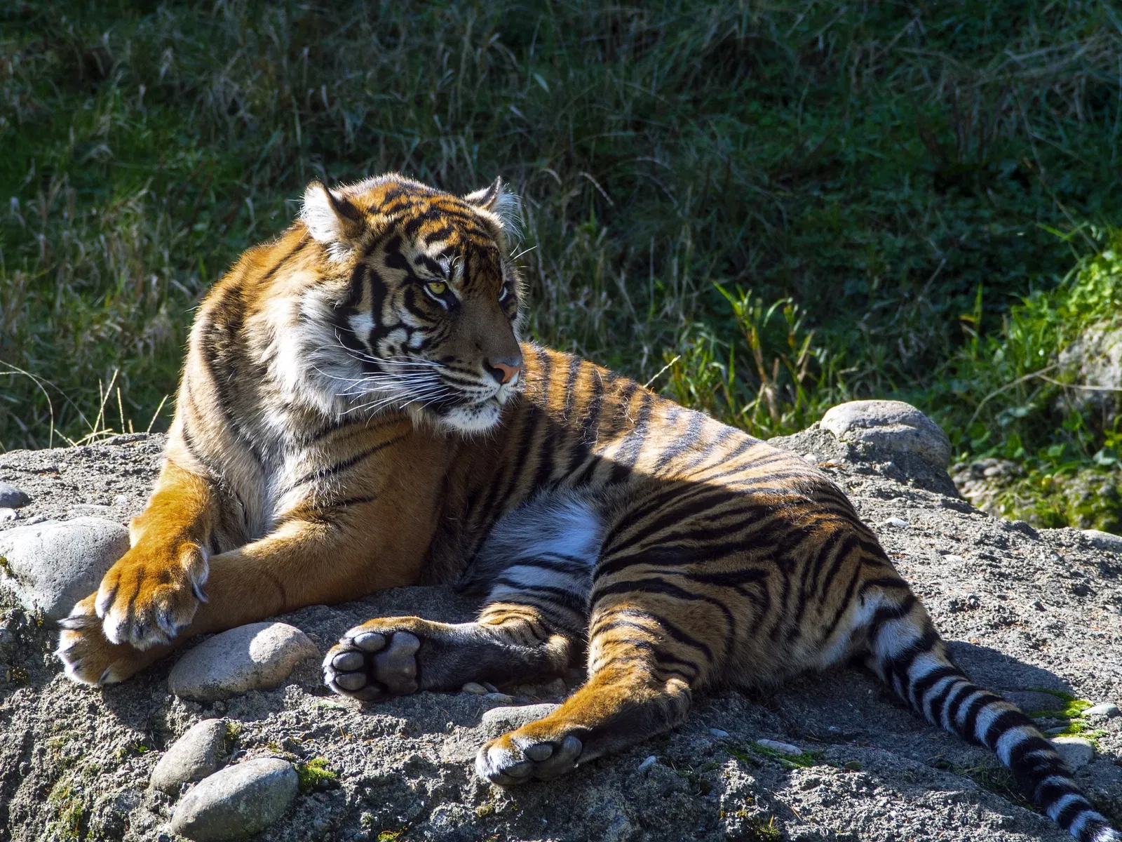 Zoo et Aquarium de Point Defiance