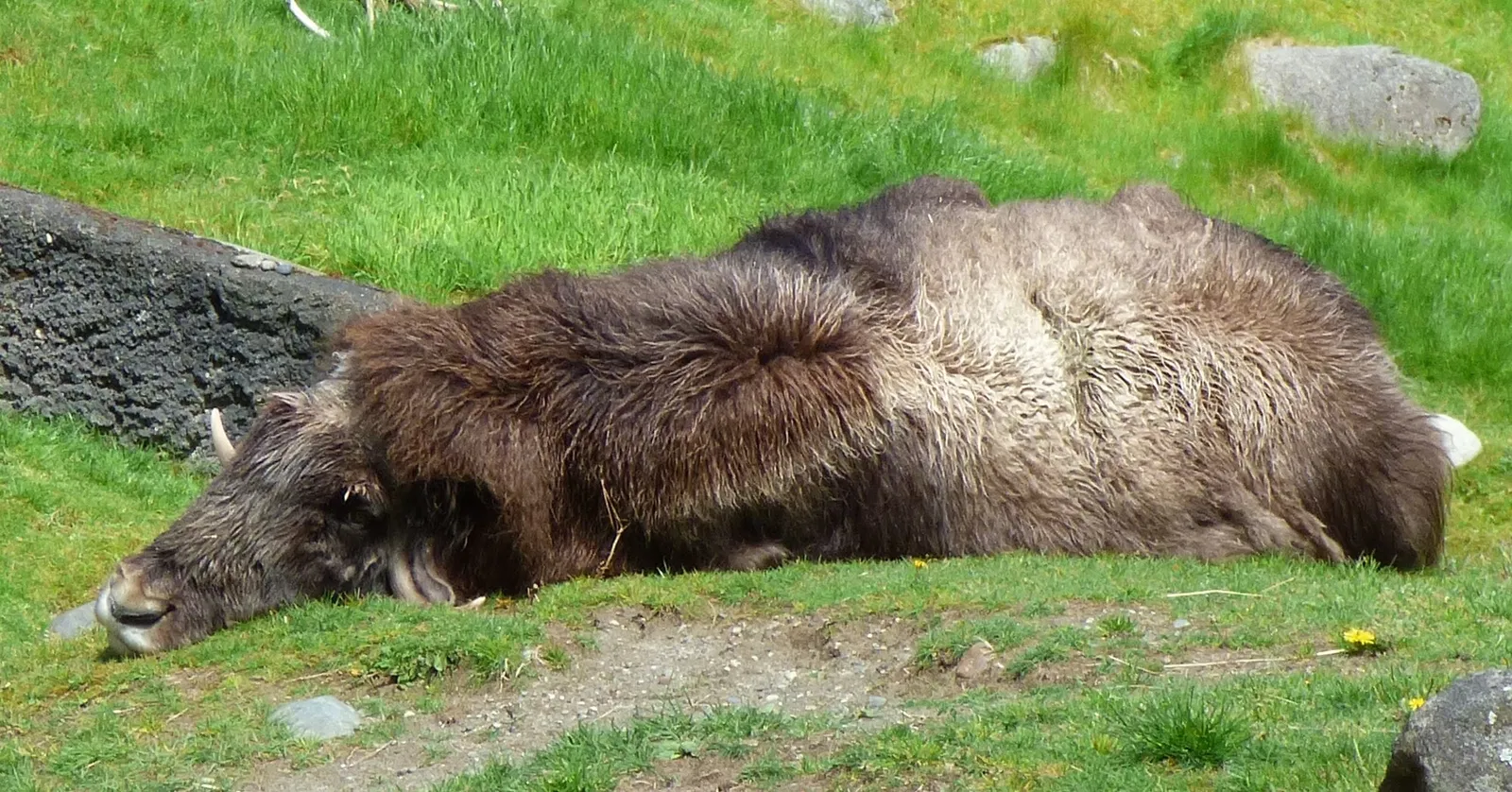 Zoo et Aquarium de Point Defiance