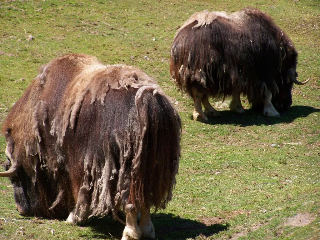 Point Defiance Zoo & Aquarium