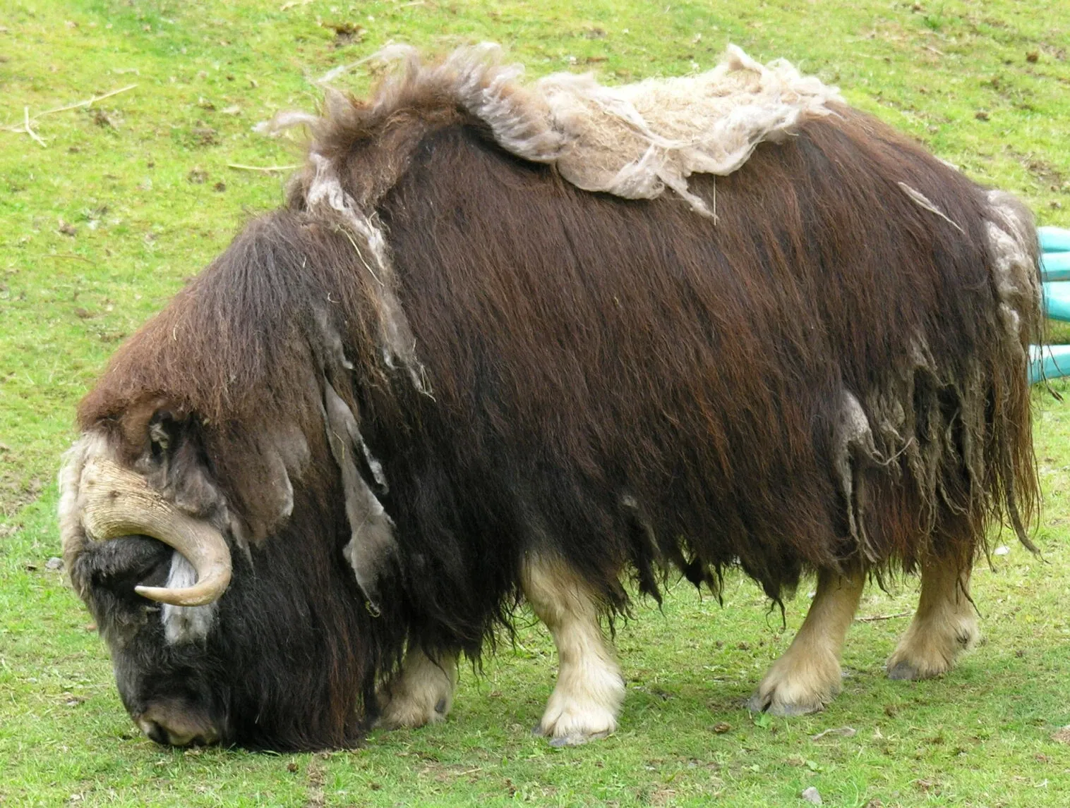 Zoo et Aquarium de Point Defiance