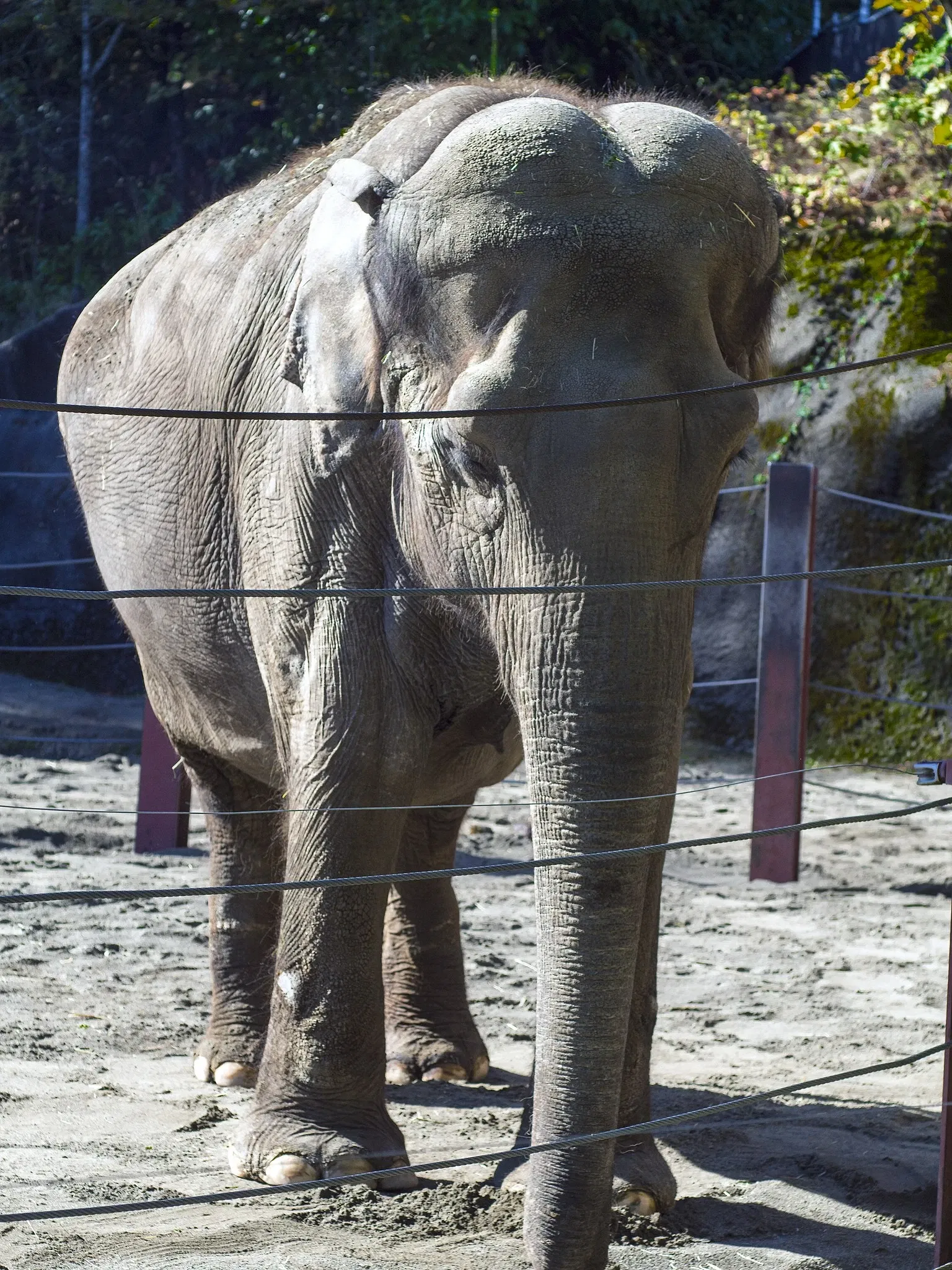 Zoo et Aquarium de Point Defiance