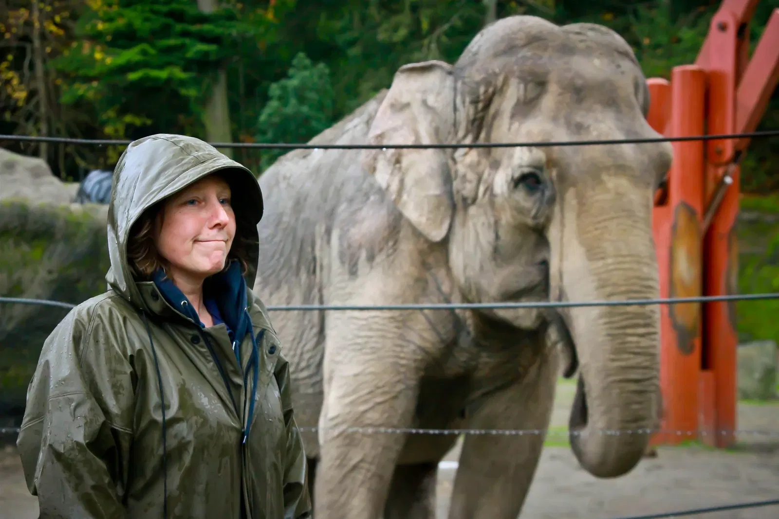 Zoo et Aquarium de Point Defiance
