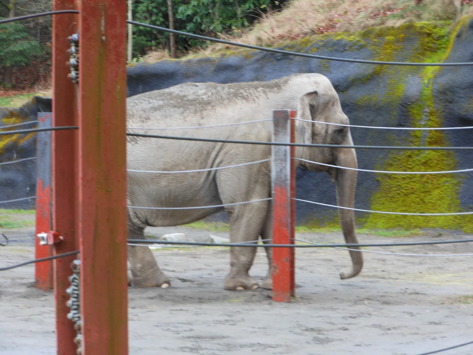 Point Defiance Zoo & Aquarium