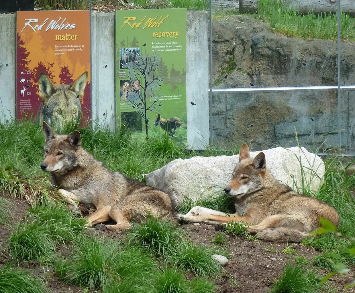 Zoo et Aquarium de Point Defiance