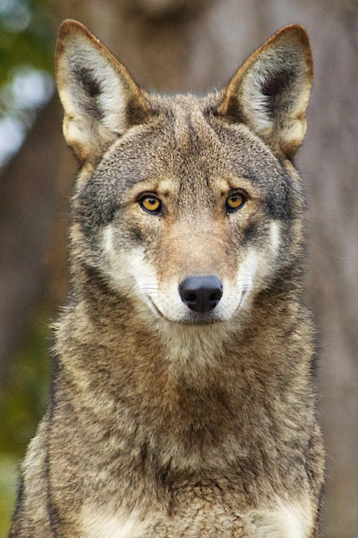 Point Defiance Zoo & Aquarium