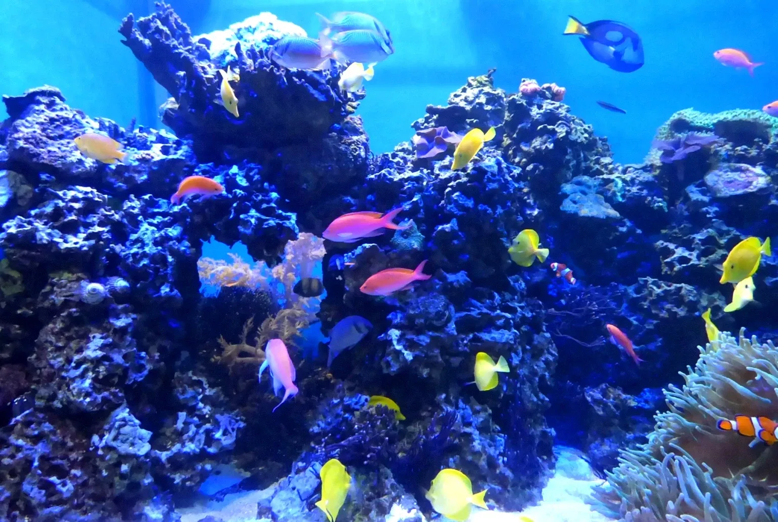 Zoo et Aquarium de Point Defiance