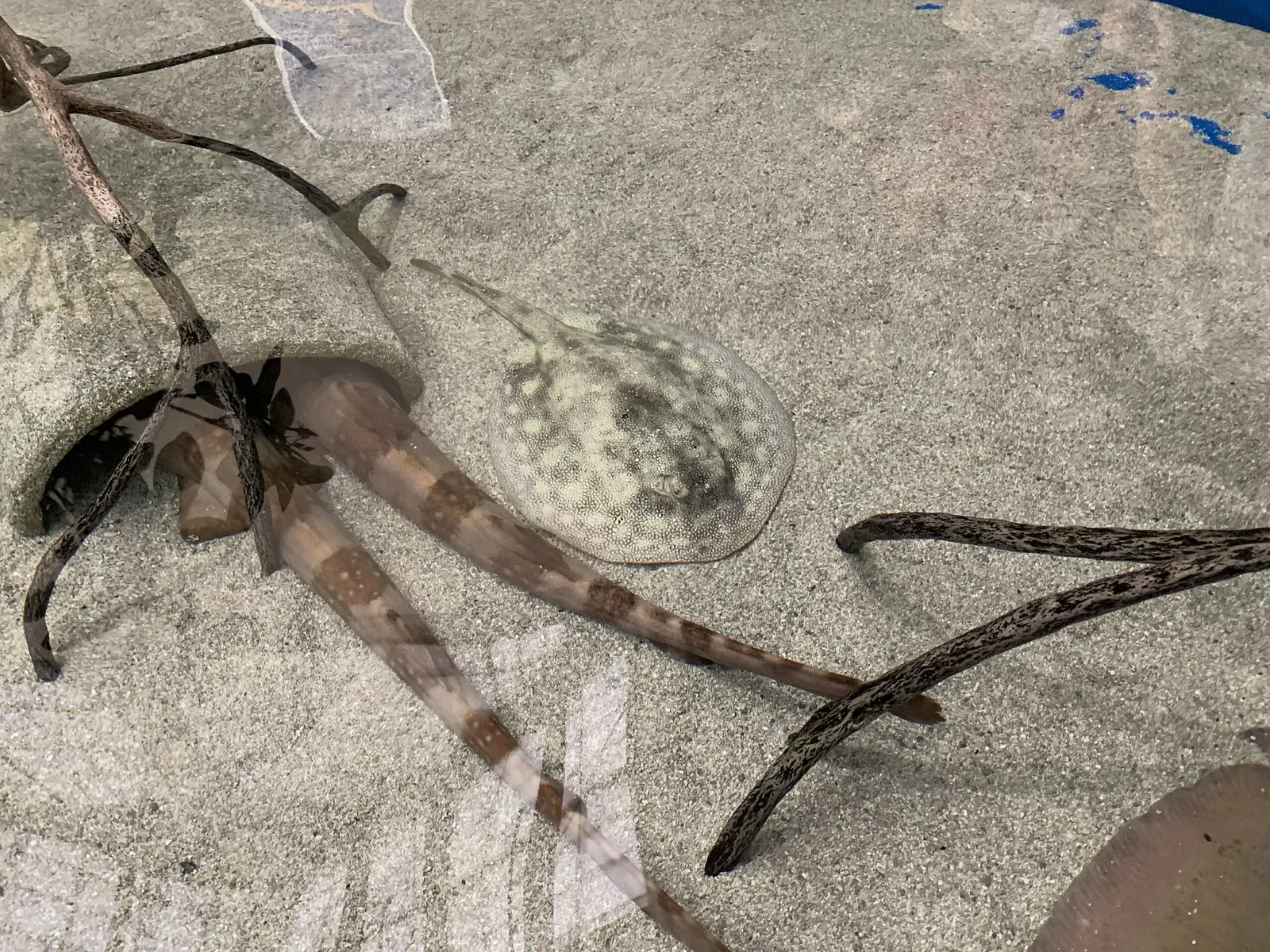 Point Defiance Zoo & Aquarium