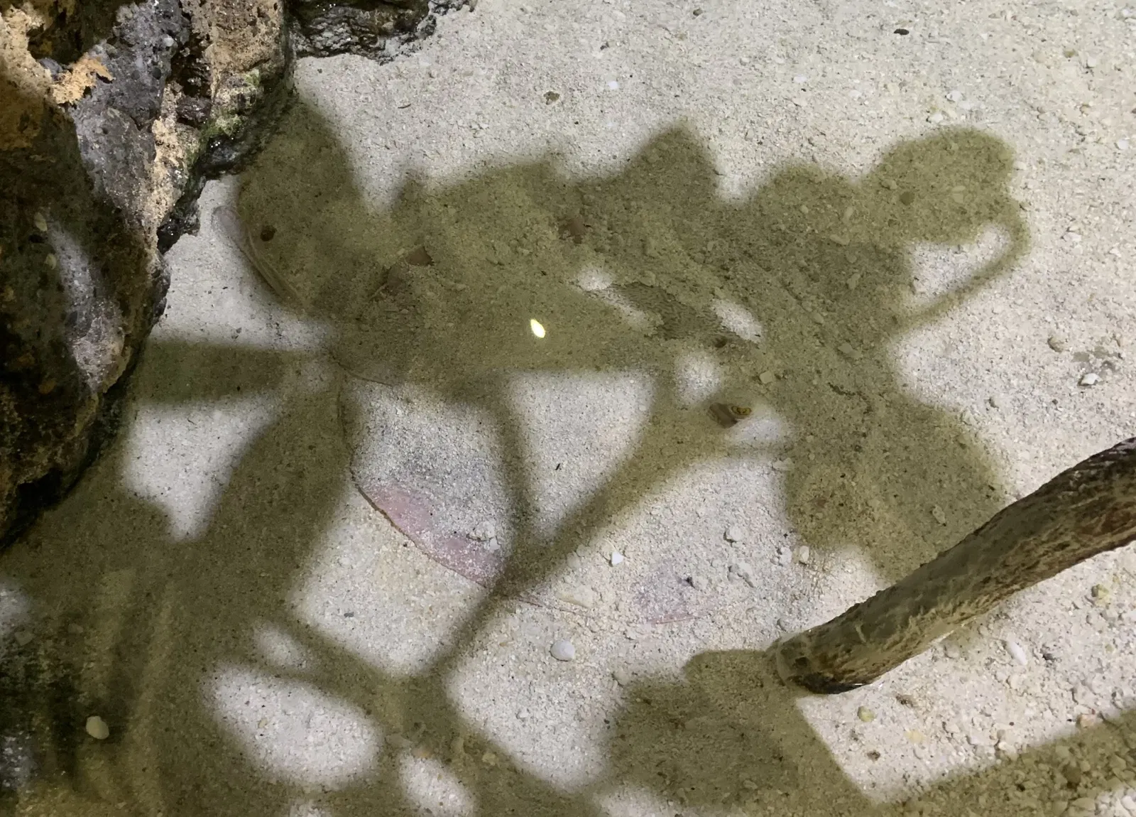 Point Defiance Zoo & Aquarium