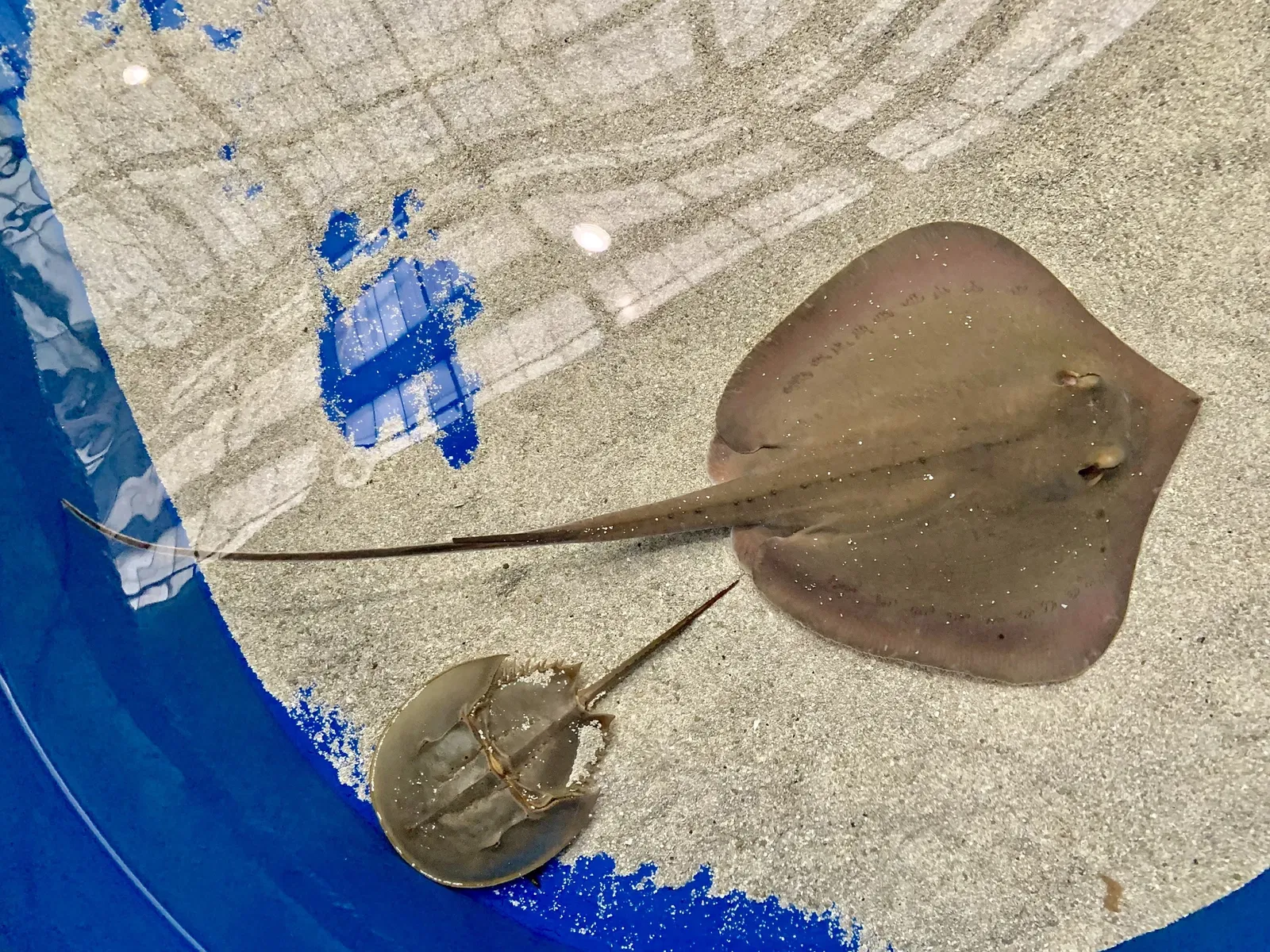 Point Defiance Zoo & Aquarium