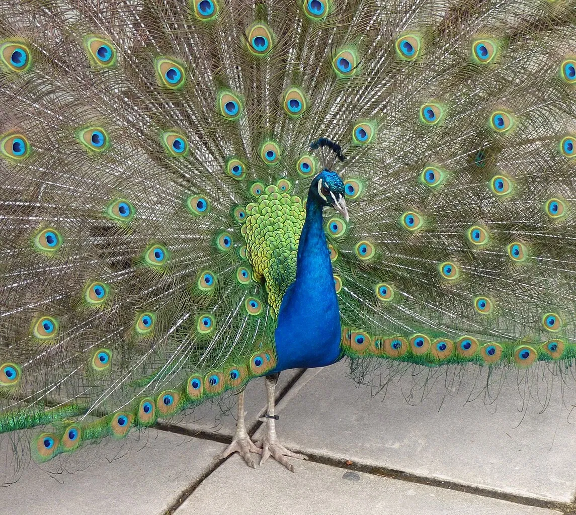 Point Defiance Zoo & Aquarium