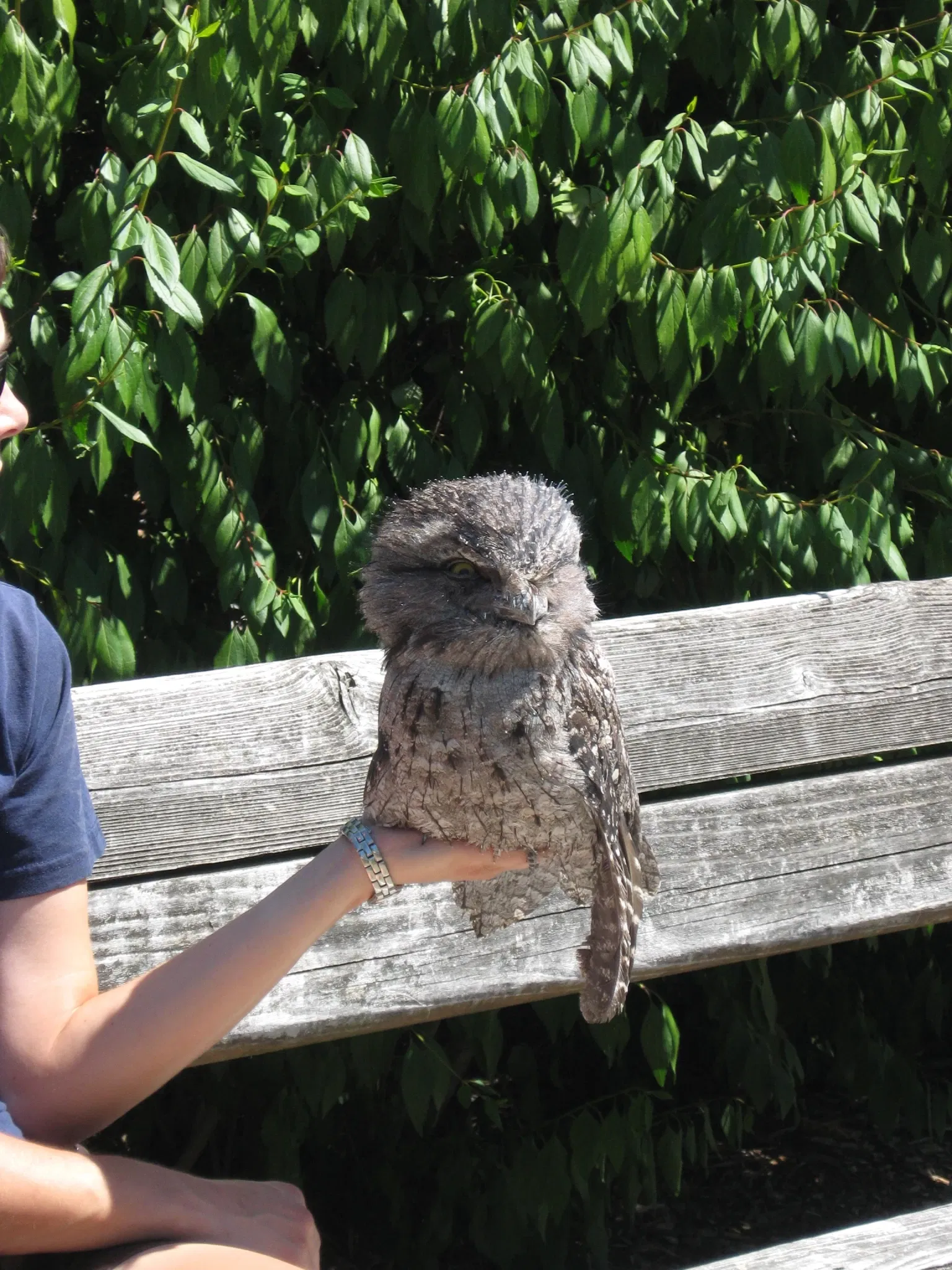 Point Defiance Zoo & Aquarium