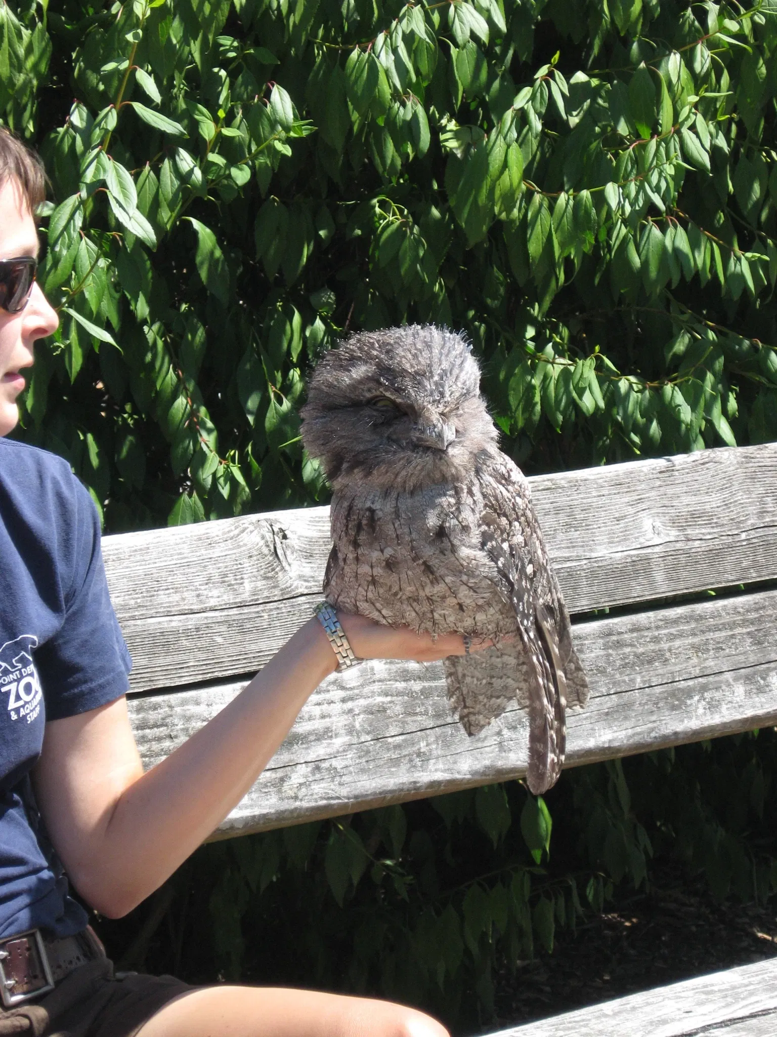 Zoo et Aquarium de Point Defiance
