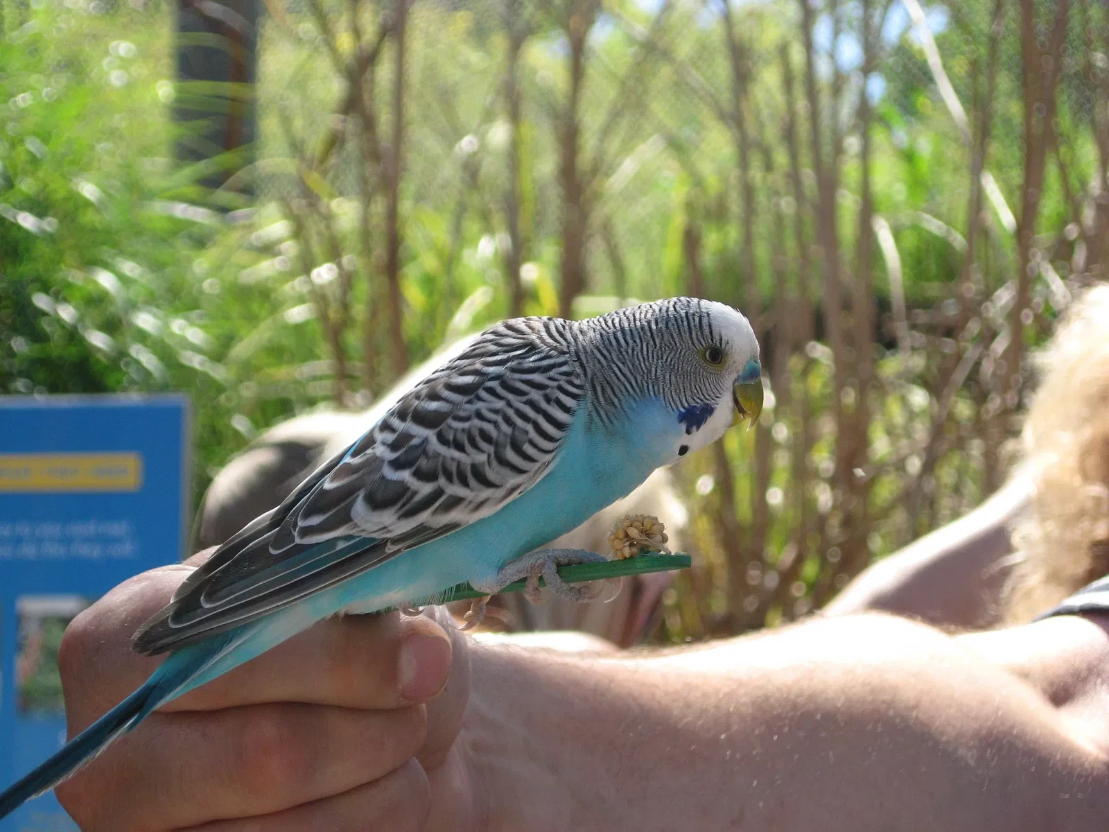 Zoo et Aquarium de Point Defiance