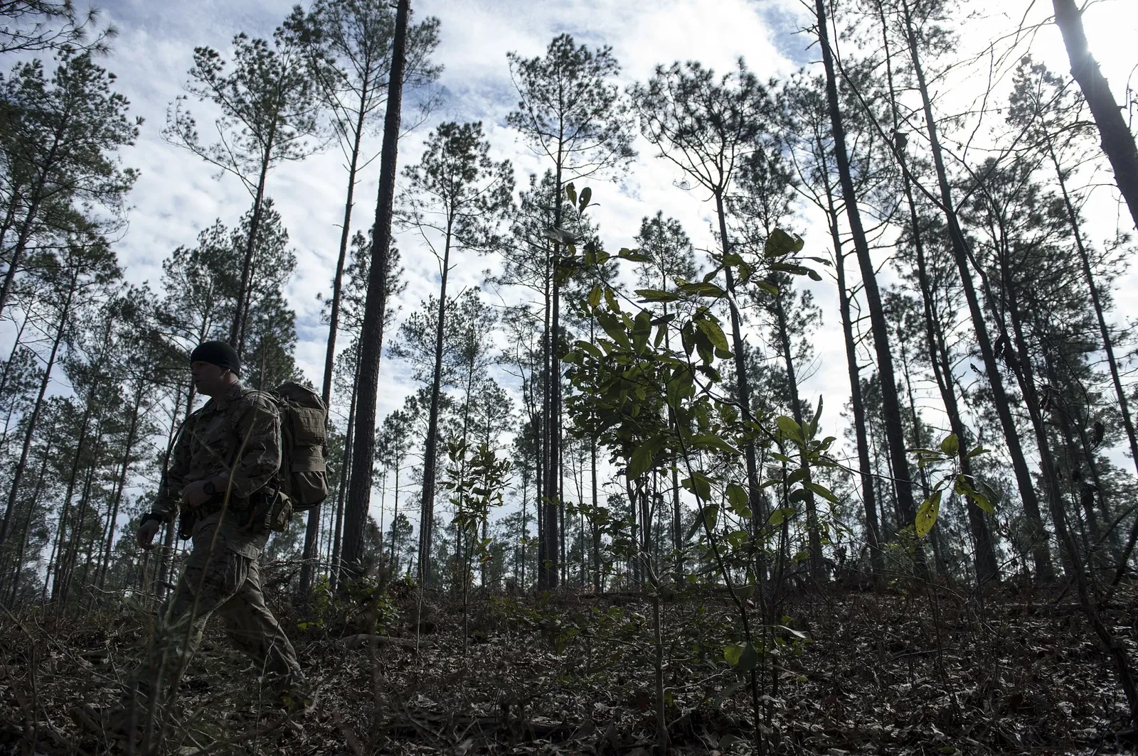 Dyess Air Park - Dyess Museum