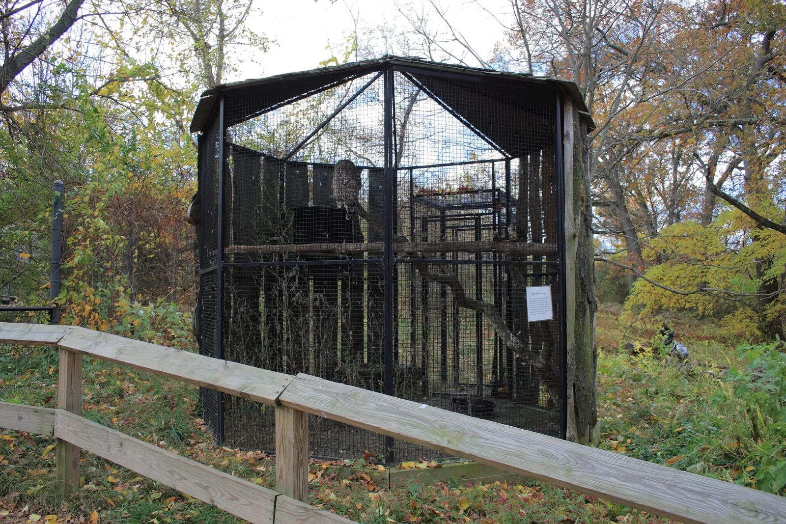 Zoológico Beardsley de Connecticut