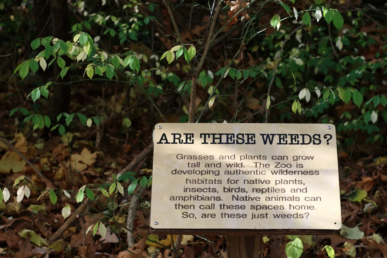 Zoológico Beardsley de Connecticut