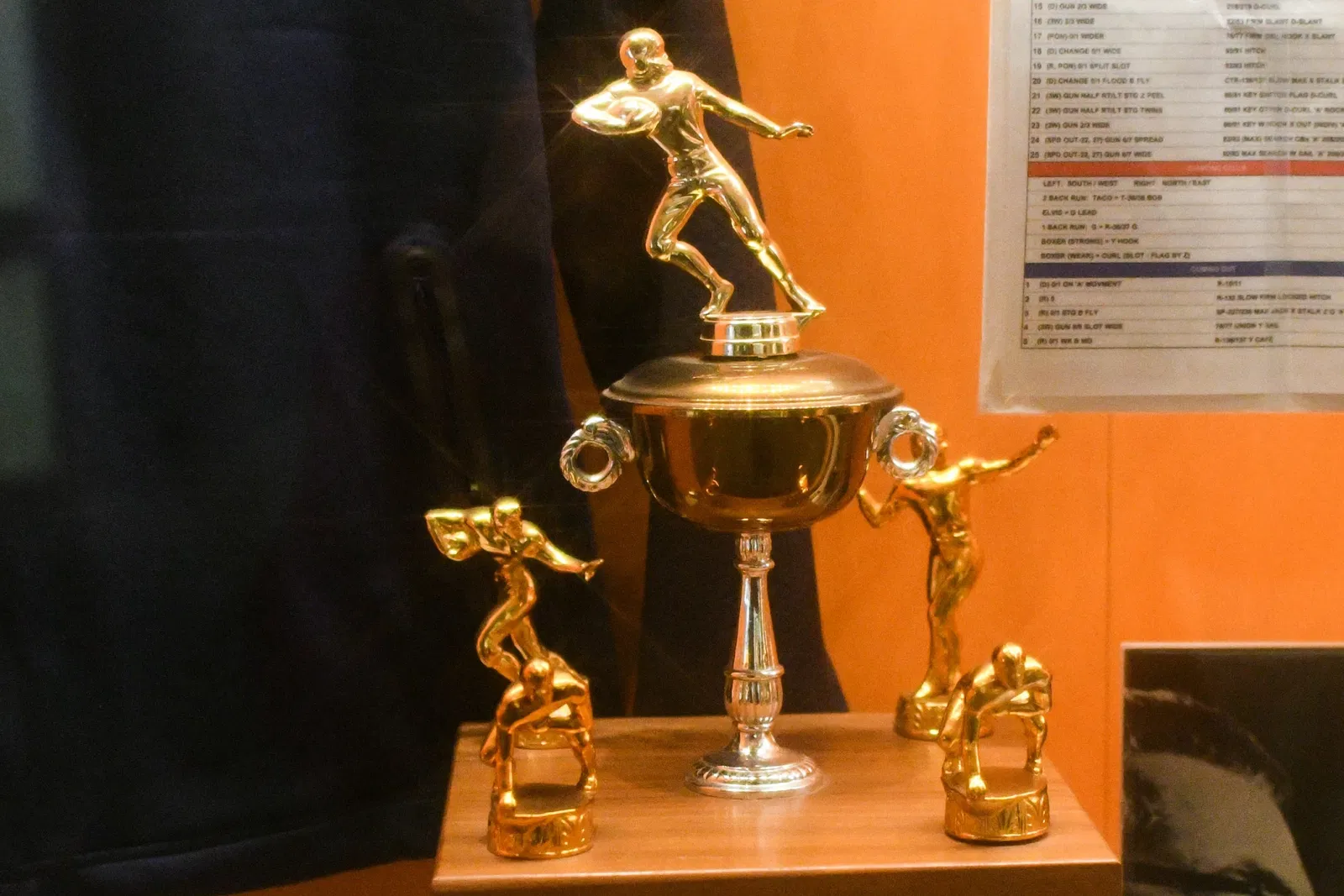 Salón de la Fama del Fútbol Americano Profesional