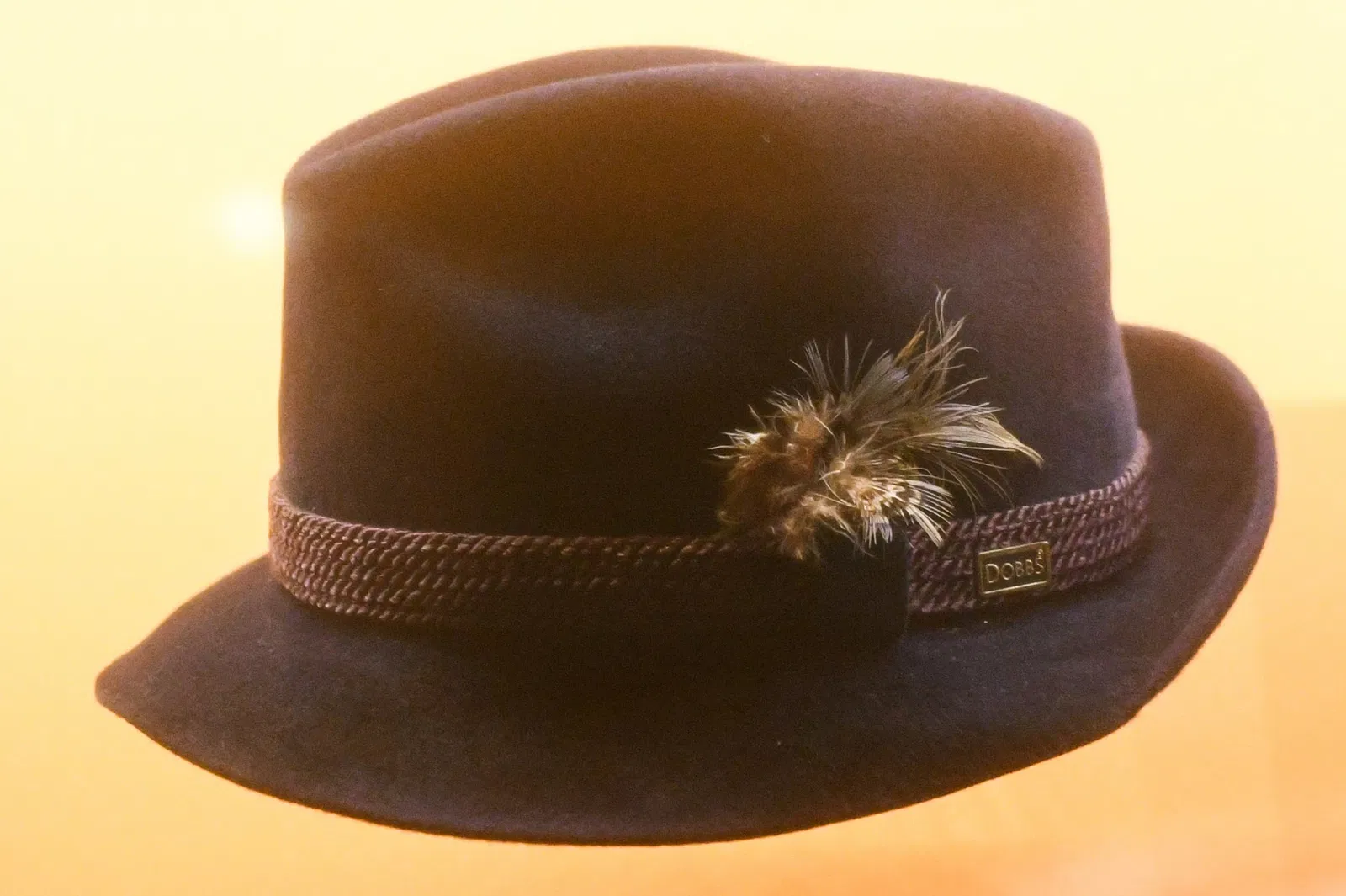 Pro Football Hall of Fame