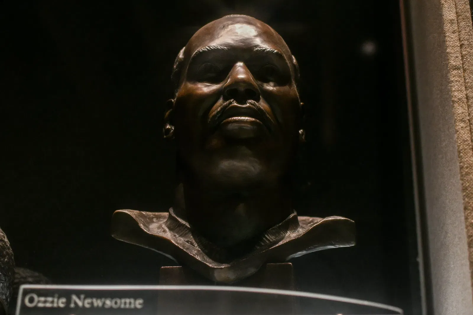 Pro Football Hall of Fame