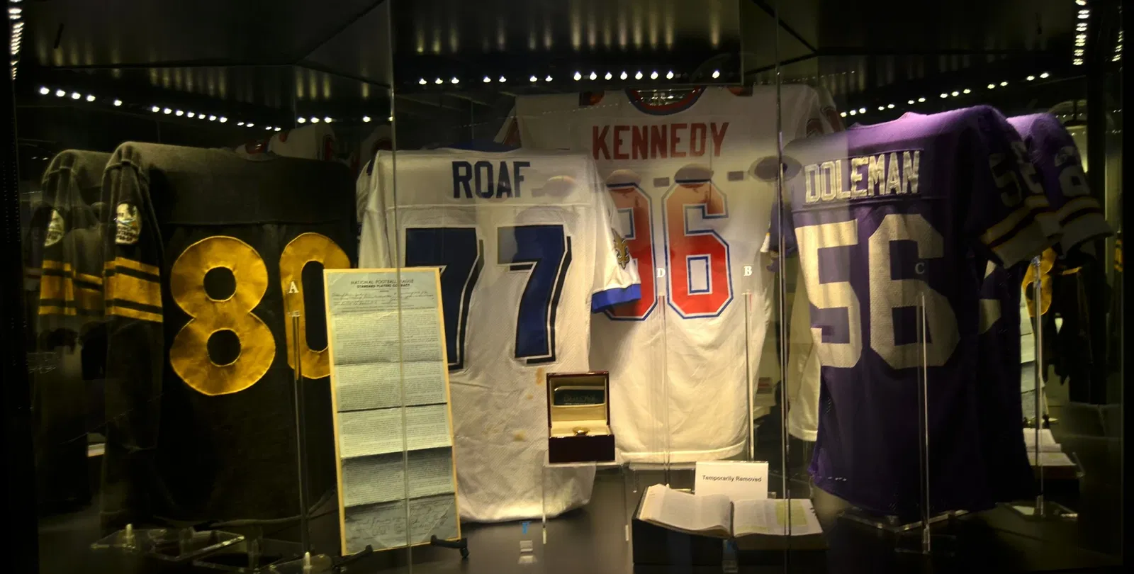 Pro Football Hall of Fame
