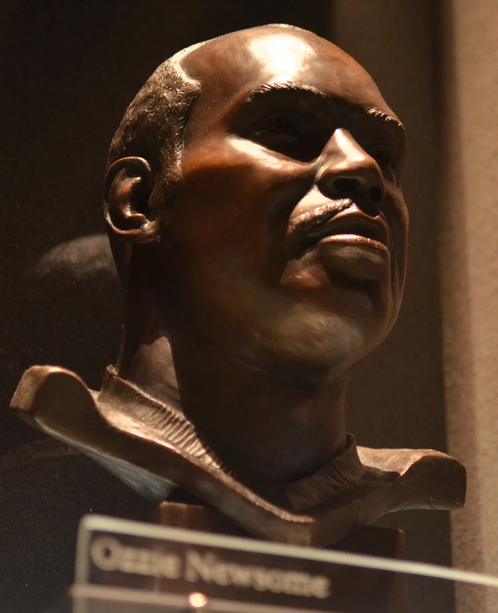 Pro Football Hall of Fame