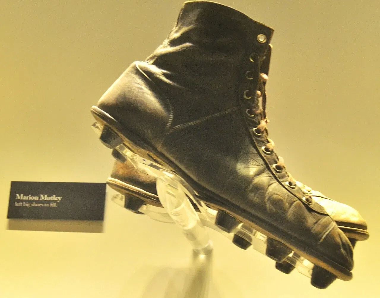 Pro Football Hall of Fame