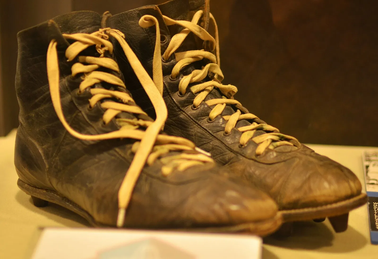 Pro Football Hall of Fame