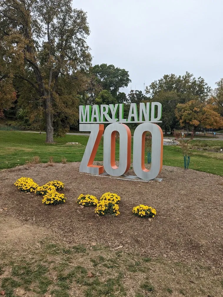 The Maryland Zoo In Baltimore
