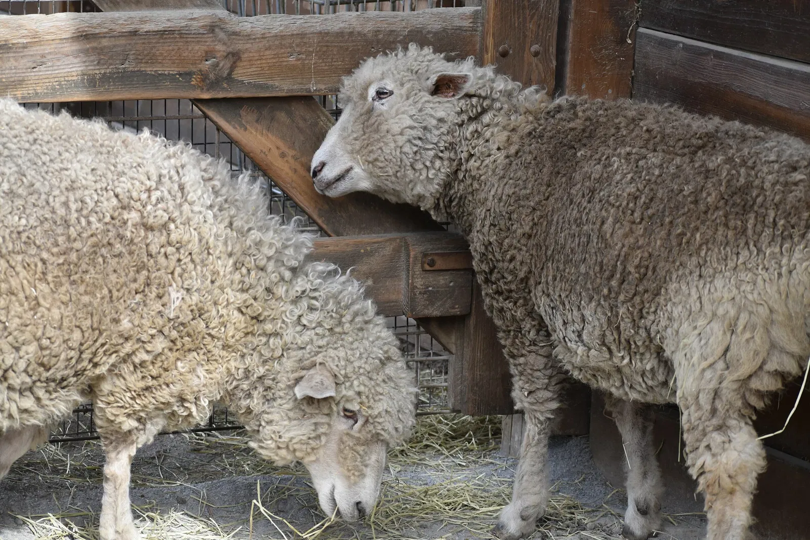 The Maryland Zoo In Baltimore