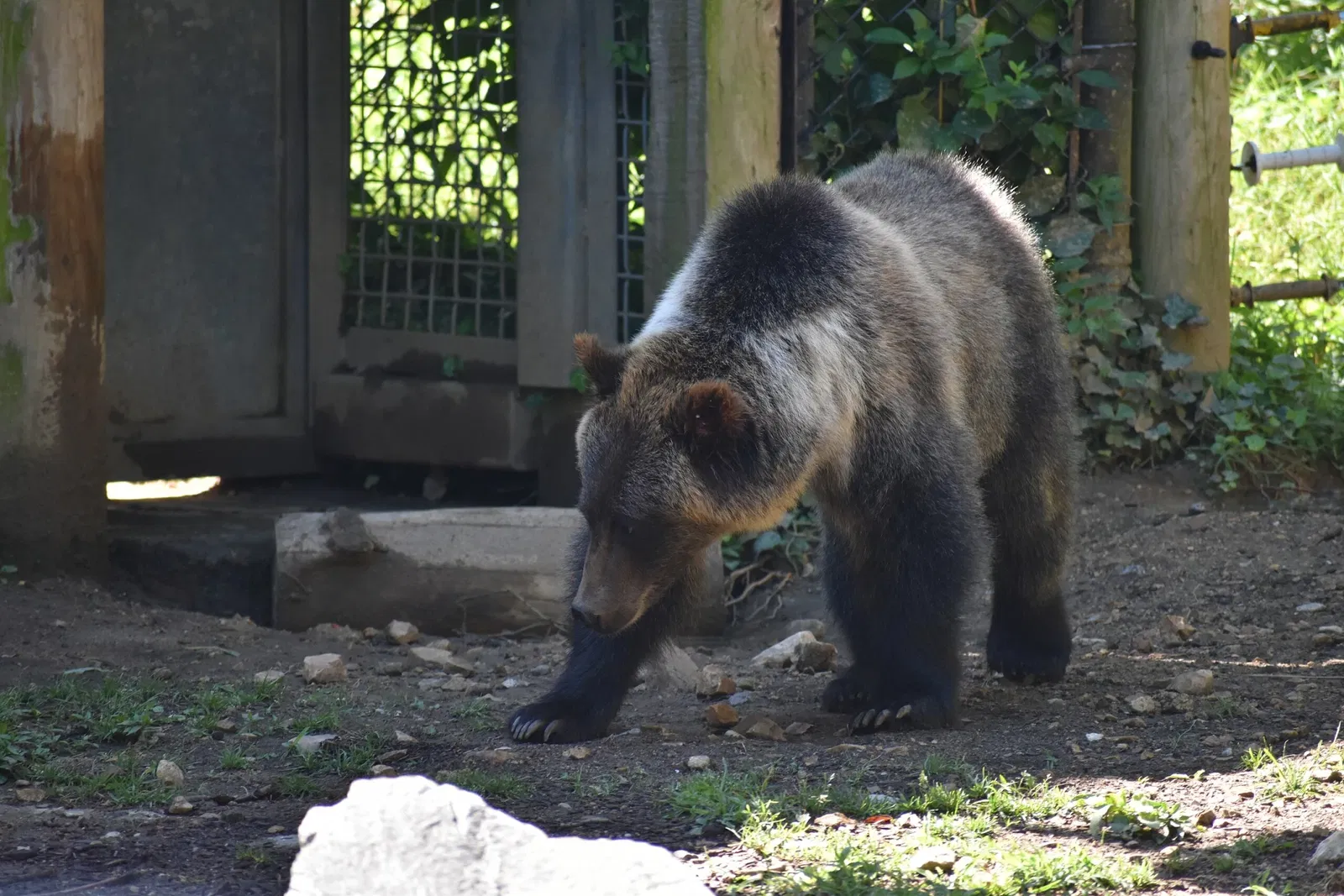 The Maryland Zoo In Baltimore