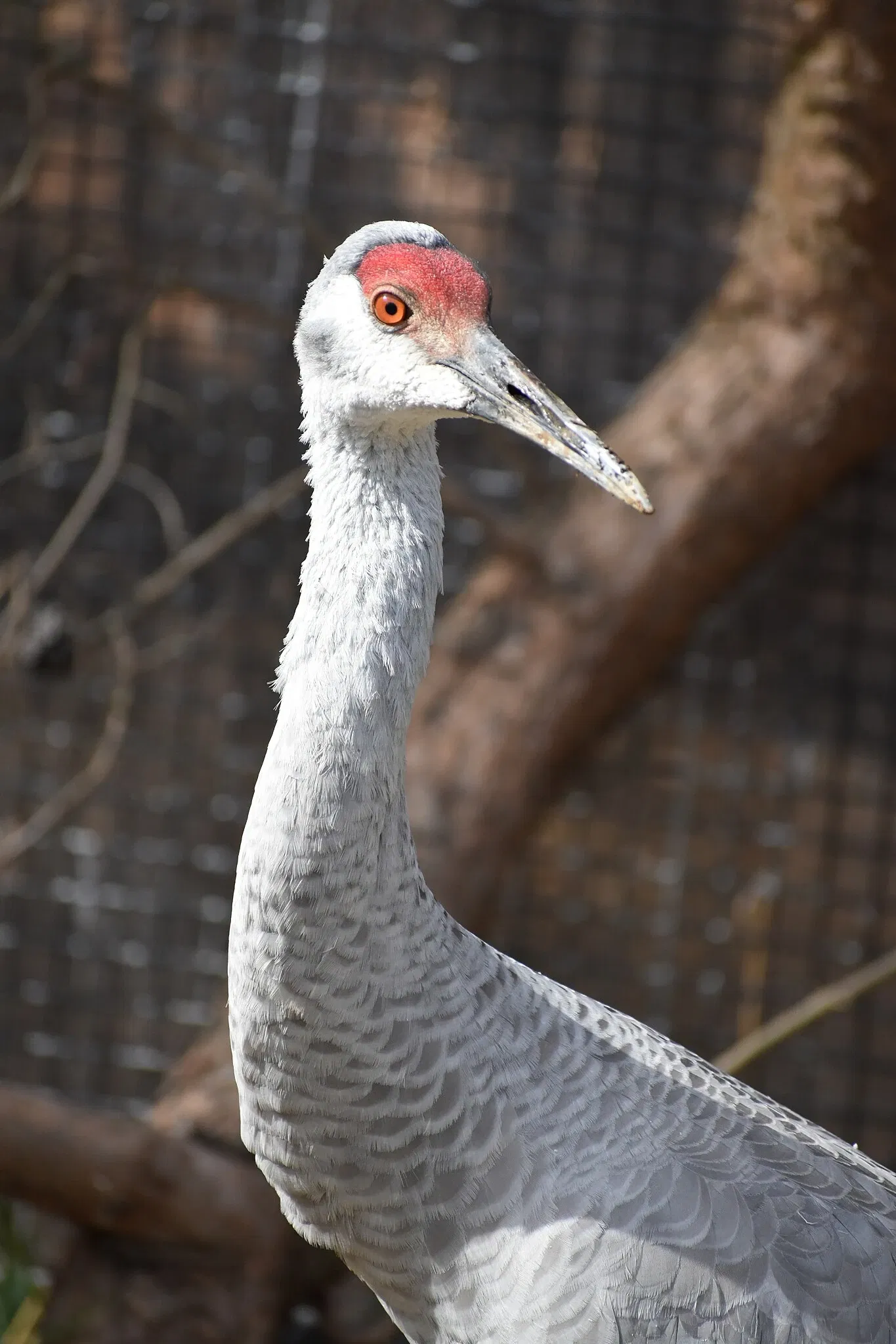 The Maryland Zoo In Baltimore