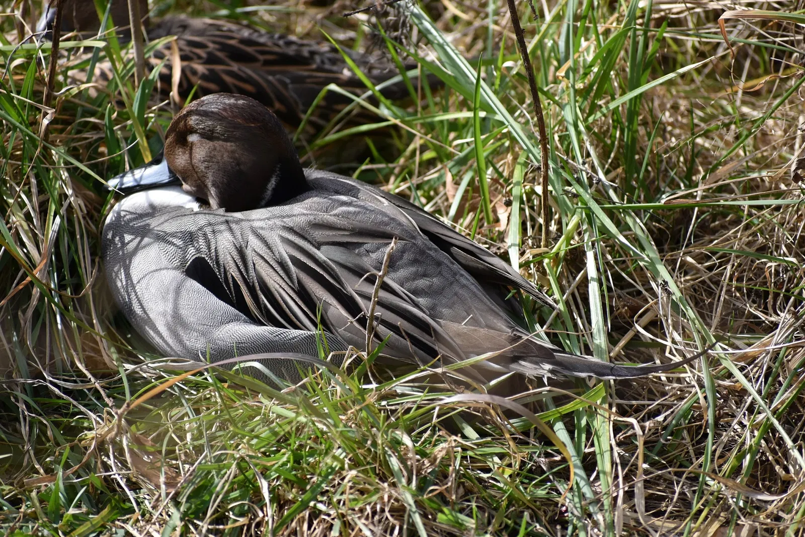 The Maryland Zoo In Baltimore