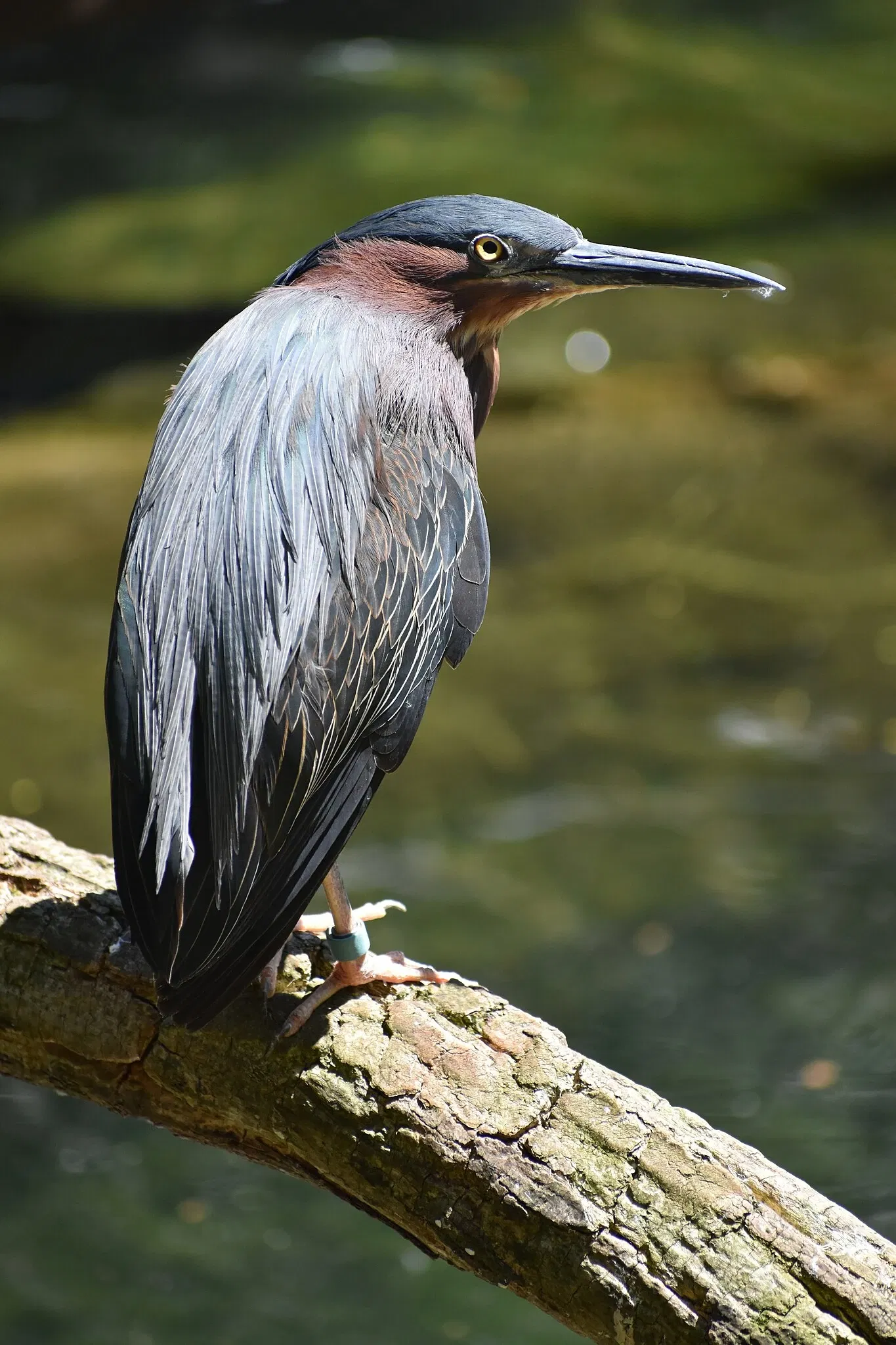 The Maryland Zoo In Baltimore