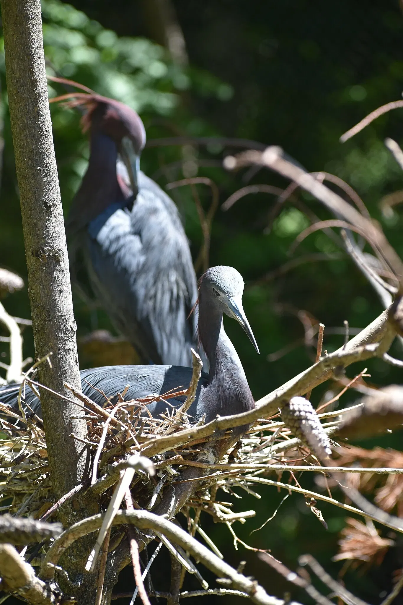 The Maryland Zoo In Baltimore