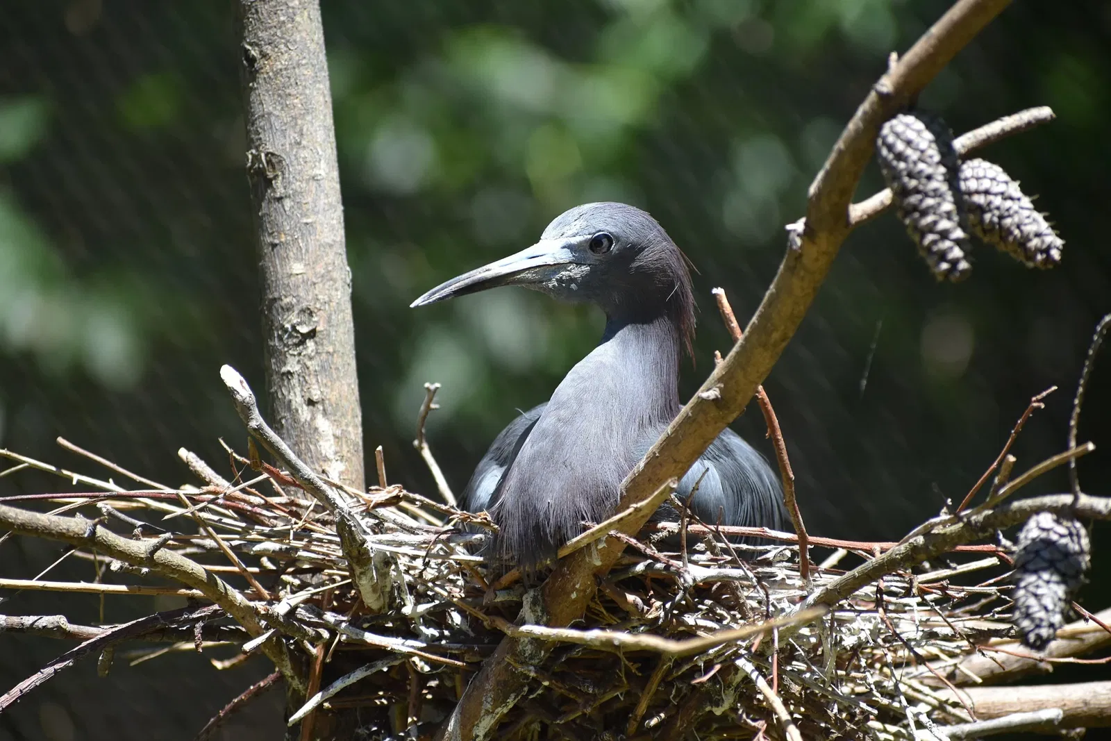 The Maryland Zoo In Baltimore