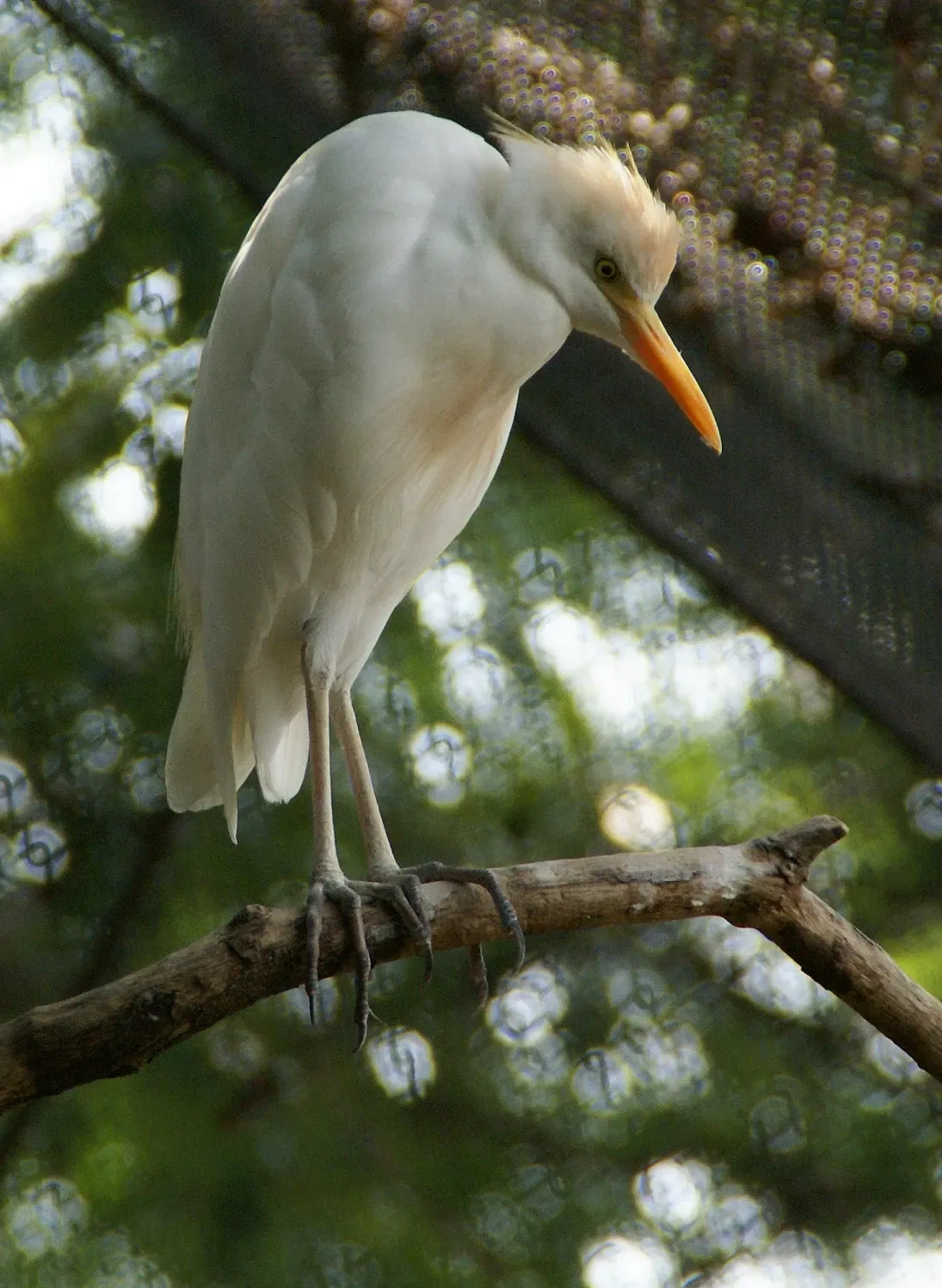 The Maryland Zoo In Baltimore